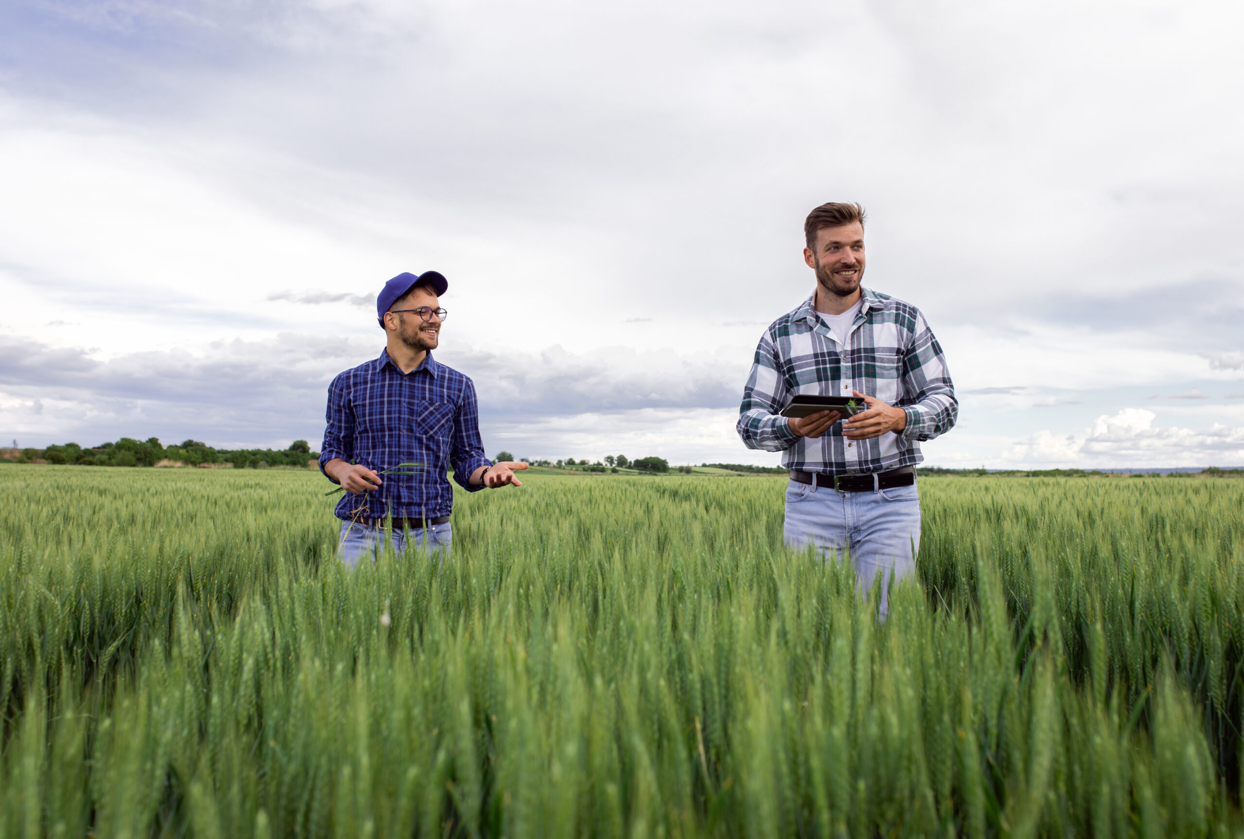 Robust, Scalable And Secure Digital Services Delivered On Demand